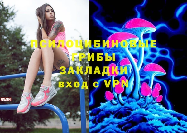 бошки Арсеньев