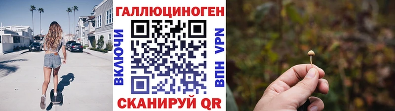Псилоцибиновые грибы мицелий  mega онион  Белоярский  как найти закладки 